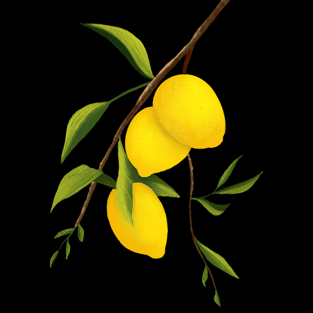 糖心官网vlog破圈公式全解析——18步搞定(新手友好)