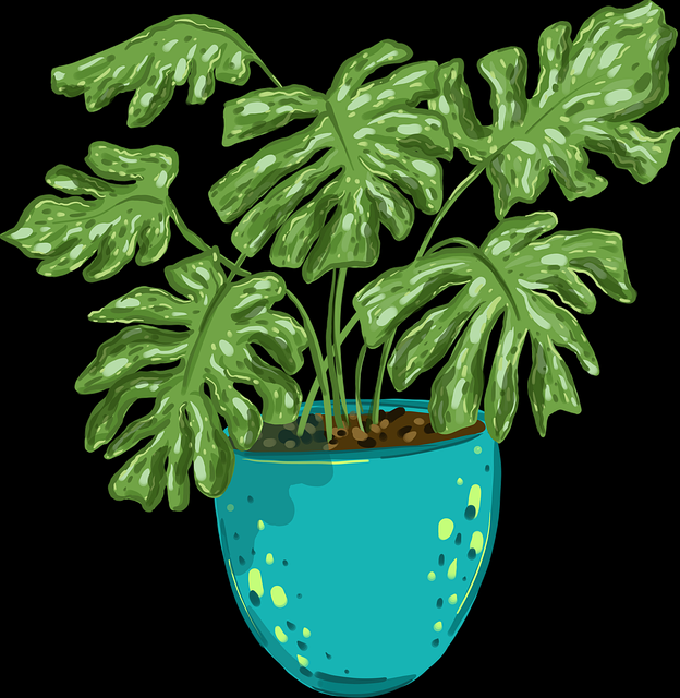 高清蘑菇影视官网下载：高能简评