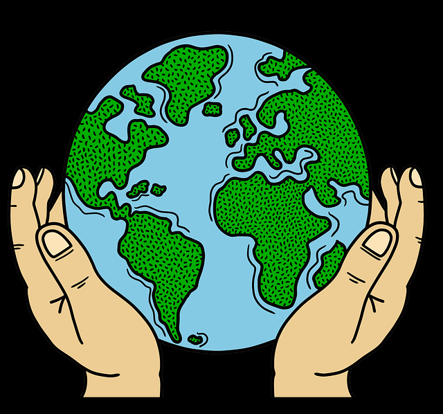 妻社app：互动玩法与弹幕互动