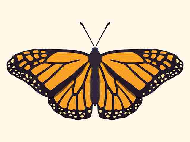 爆款·91黑料2024限时干货|2025版