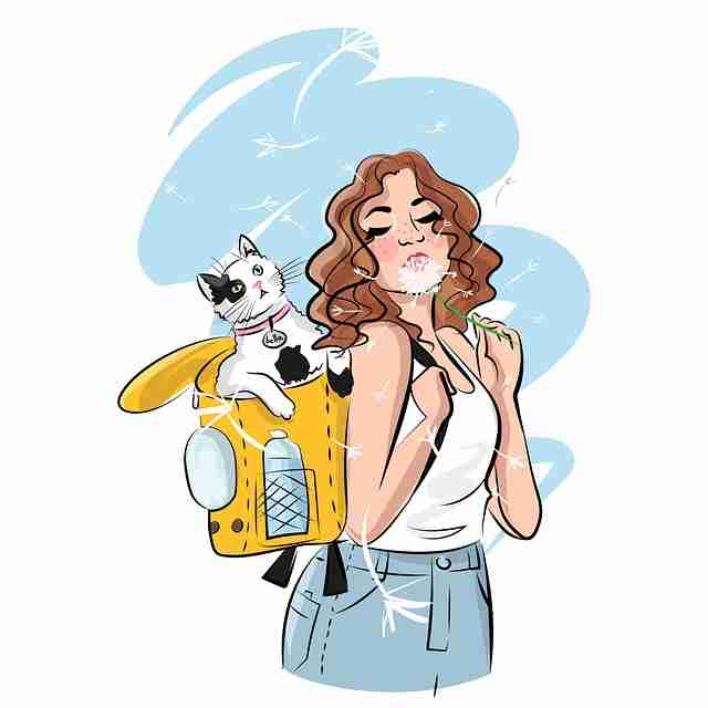 为什么糖心vlog入口官网催化?运营思路告诉你答案——必读