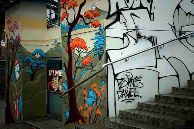 蘑菇视频：离线玩法与上手攻略